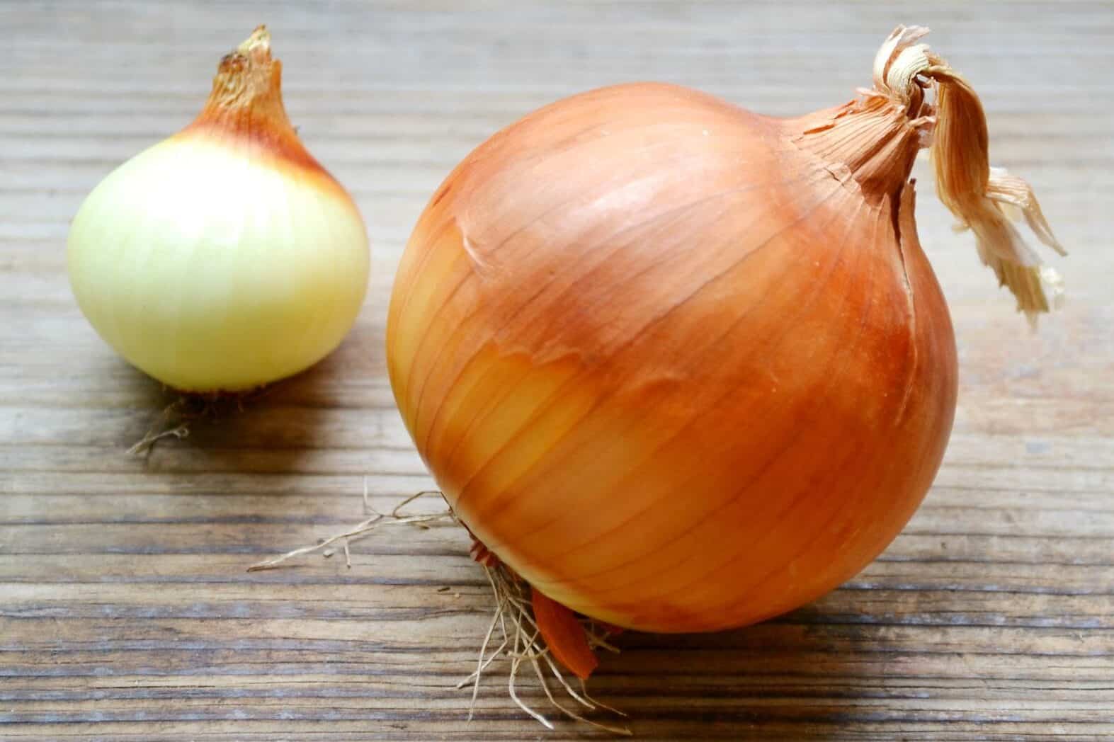 La cebolla: un tesoro nutricional y medicinal que no puede faltar en tu dieta