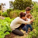 Guía Completa para el Control de Plagas en la Agricultura Orgánica: Cómo Proteger tus Hortalizas de Manera Sostenible